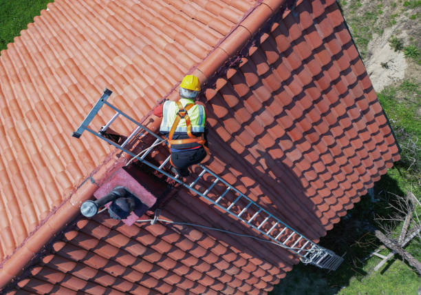 Best Cold Roofs  in Carbondale, PA